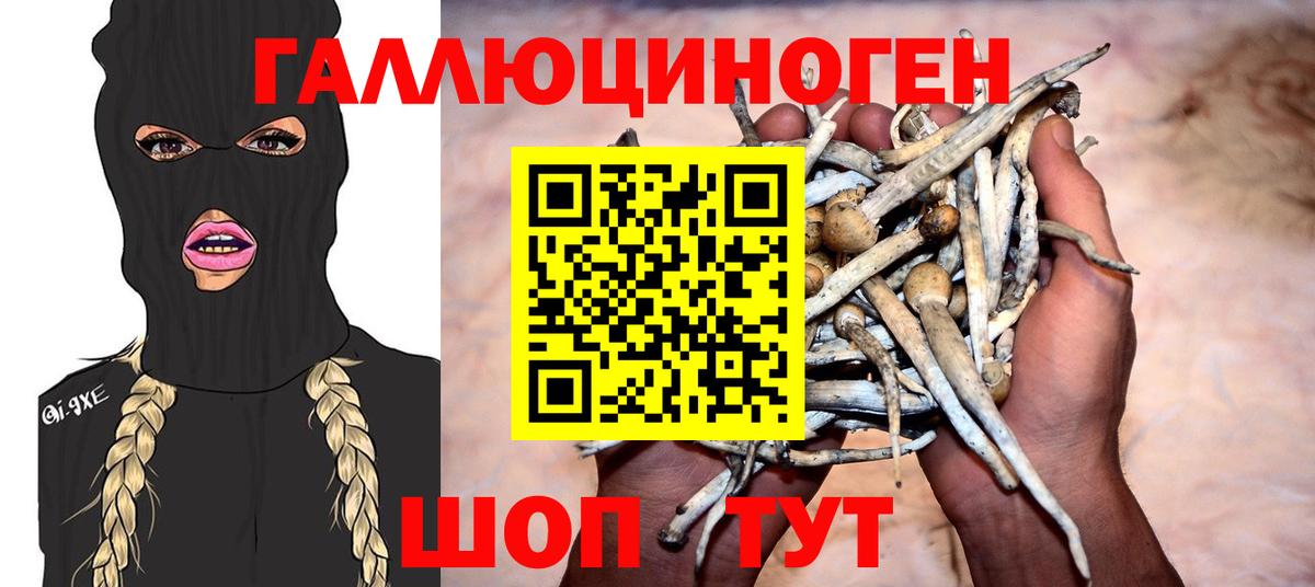 Псилоцибиновые грибы ЛСД  Галлюциногенные грибы мицелий  Вход с VPN  Касимов 